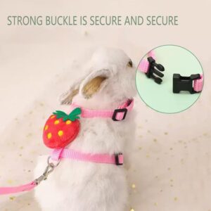 Adjustable Harness and Leash Set for Small Pets 4 Sets - Image 5
