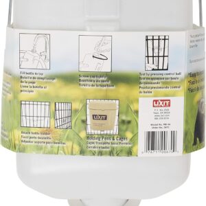 All-Weather Water Bottle Plastic White 64 Ounce - Image 4