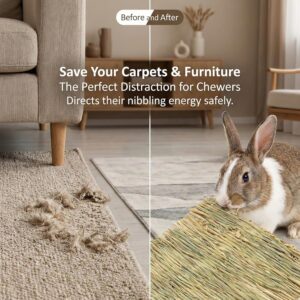 Pet Bedding Grass Mat Natural Woven 2PCS - Image 3