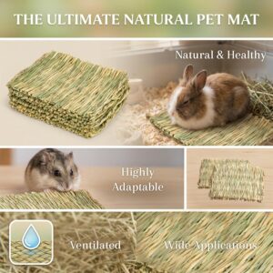 Pet Bedding Grass Mat Natural Woven 2PCS - Image 4