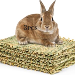 Pet Bedding Grass Mat Natural Woven 2PCS - Image 9