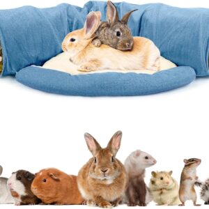 Pet Tunnel Bed Collapsible Design For Cats Kittens - Image 10