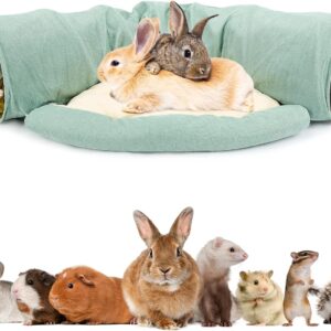 Pet Tunnel Bed Collapsible Design For Cats Kittens - Image 16