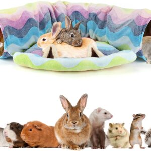 Pet Tunnel Bed Collapsible Design For Cats Kittens - Image 18