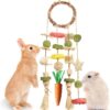 Rabbit Chew Toy Rattan Ring with Snacks