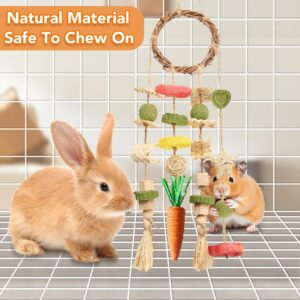 Rabbit Chew Toy Rattan Ring with Snacks - Image 3