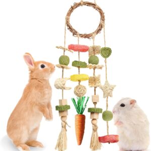 Rabbit Chew Toy Rattan Ring with Snacks