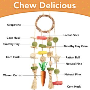 Rabbit Chew Toy Rattan Ring with Snacks - Image 5