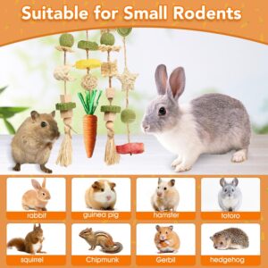 Rabbit Chew Toy Rattan Ring with Snacks - Image 7