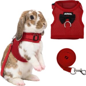 Rabbit Harness and Leash Set Soft Mesh Blue Large - Image 10