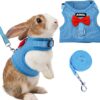 Rabbit Harness and Leash Set Soft Mesh Blue Large