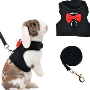 Rabbit Harness and Leash Set Soft Mesh Blue Large - Image 11