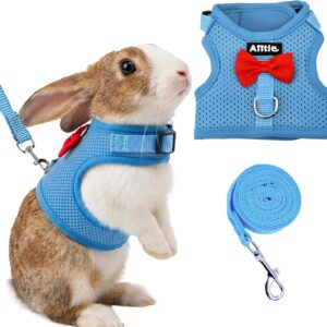 Rabbit Harness and Leash Set Soft Mesh Blue Large