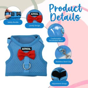Rabbit Harness and Leash Set Soft Mesh Blue Large - Image 4