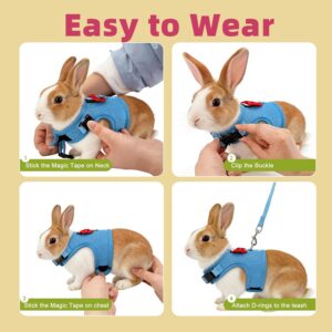 Rabbit Harness and Leash Set Soft Mesh Blue Large - Image 6
