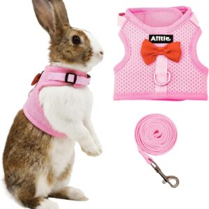 Rabbit Harness and Leash Set Soft Mesh Blue Large - Image 8