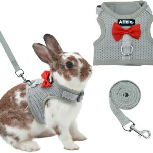Rabbit Harness and Leash Set Soft Mesh Blue Large - Image 9