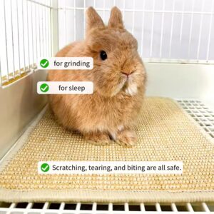 Rabbit Scratch Mat Natural Material 2 Pieces - Image 3