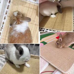 Rabbit Scratch Mat Natural Material 2 Pieces - Image 6